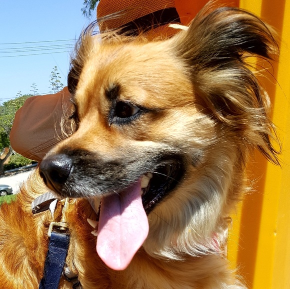 Meet your Posher, Michelle - Picture 6 of 8